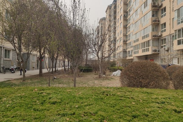 不足,世纪花园怎么样,世纪花园周边房产中介经纪人评价-淄博安居客