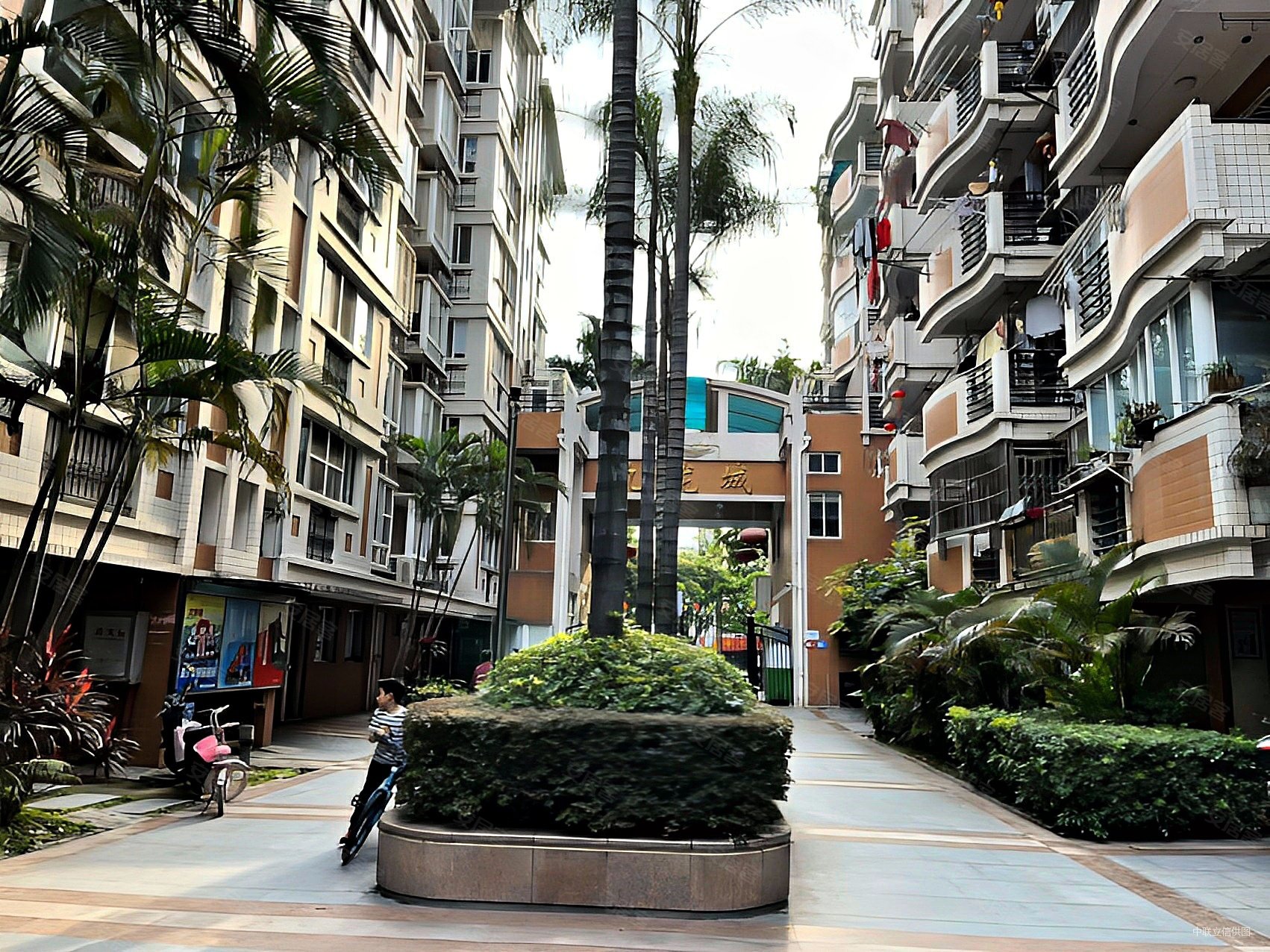 福州房产网>福州二手房>晋安二手房>塔头二手房>九龙城>