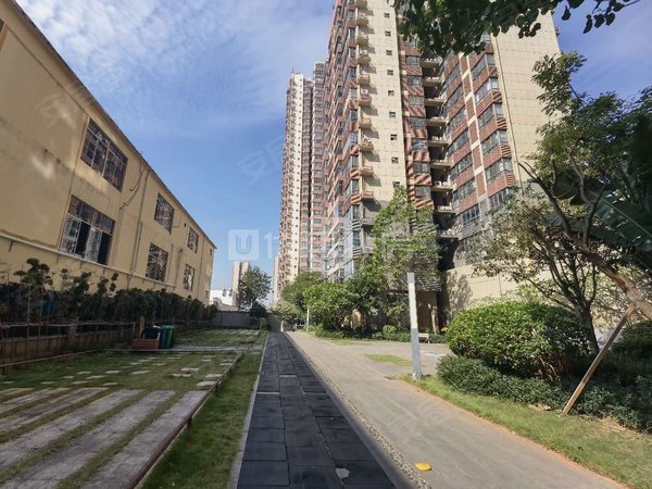 南宁兴宁区政府金源橙郡押二付二 金源橙郡 整租 95平 普装 电梯房