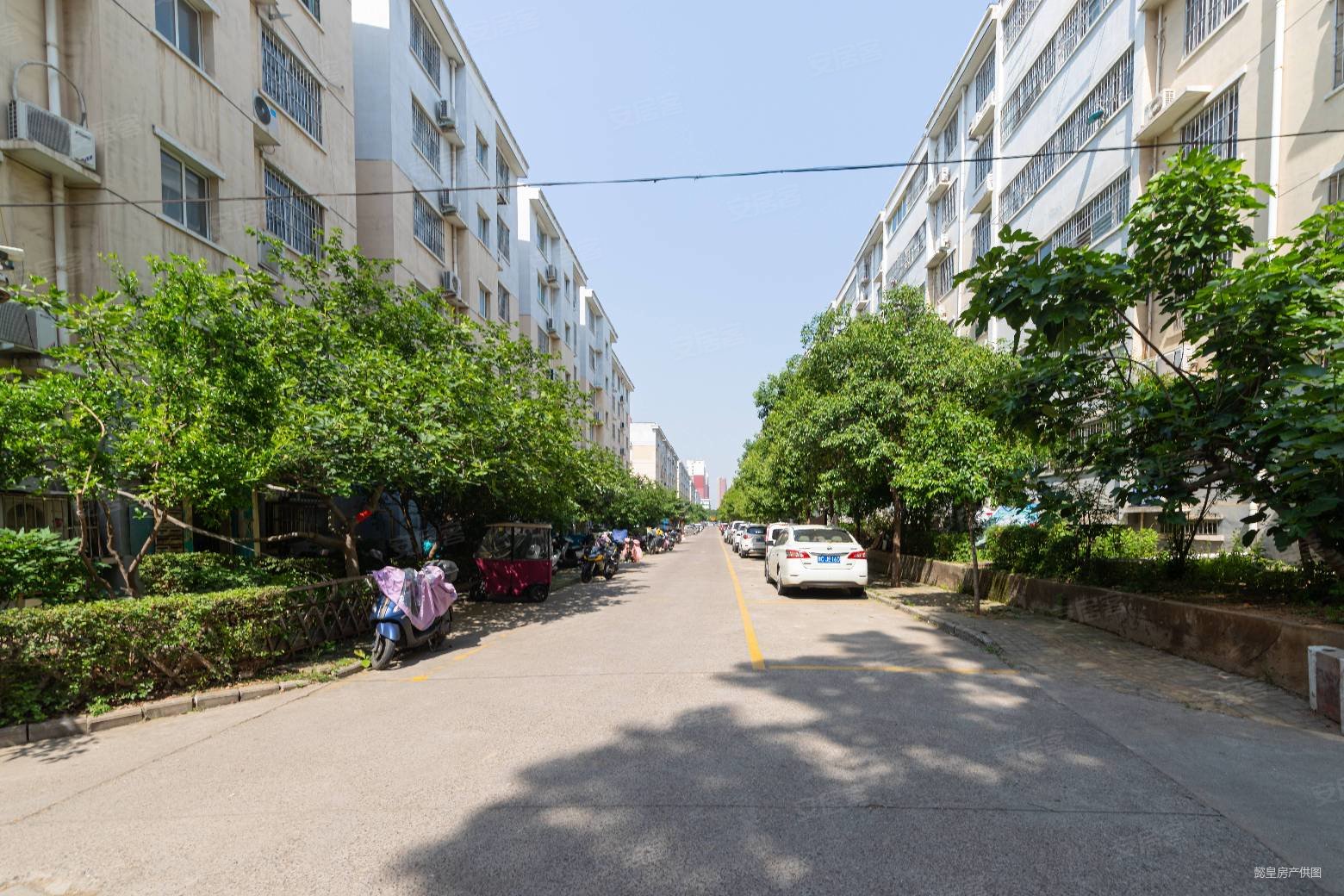 急售西工区精装修两室一厅中间楼层采光好随时看房