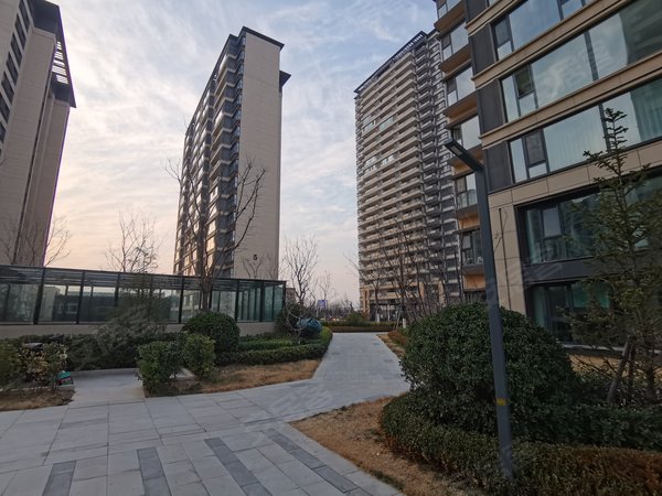 青岛李沧唐山路越秀天悦海湾(北区)初次出租 火车北站 越秀天悦海湾套