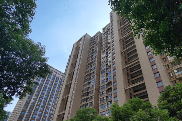 招商雍华府,金枫南路8号 - 苏州招商雍华府二手房,租房,房价-苏州安居