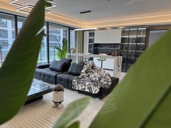 临沂北城新区成都路碧桂园云顶 中南君启 中南林樾 金泰和府 多套大平层豪华住宅出租房源真实图片