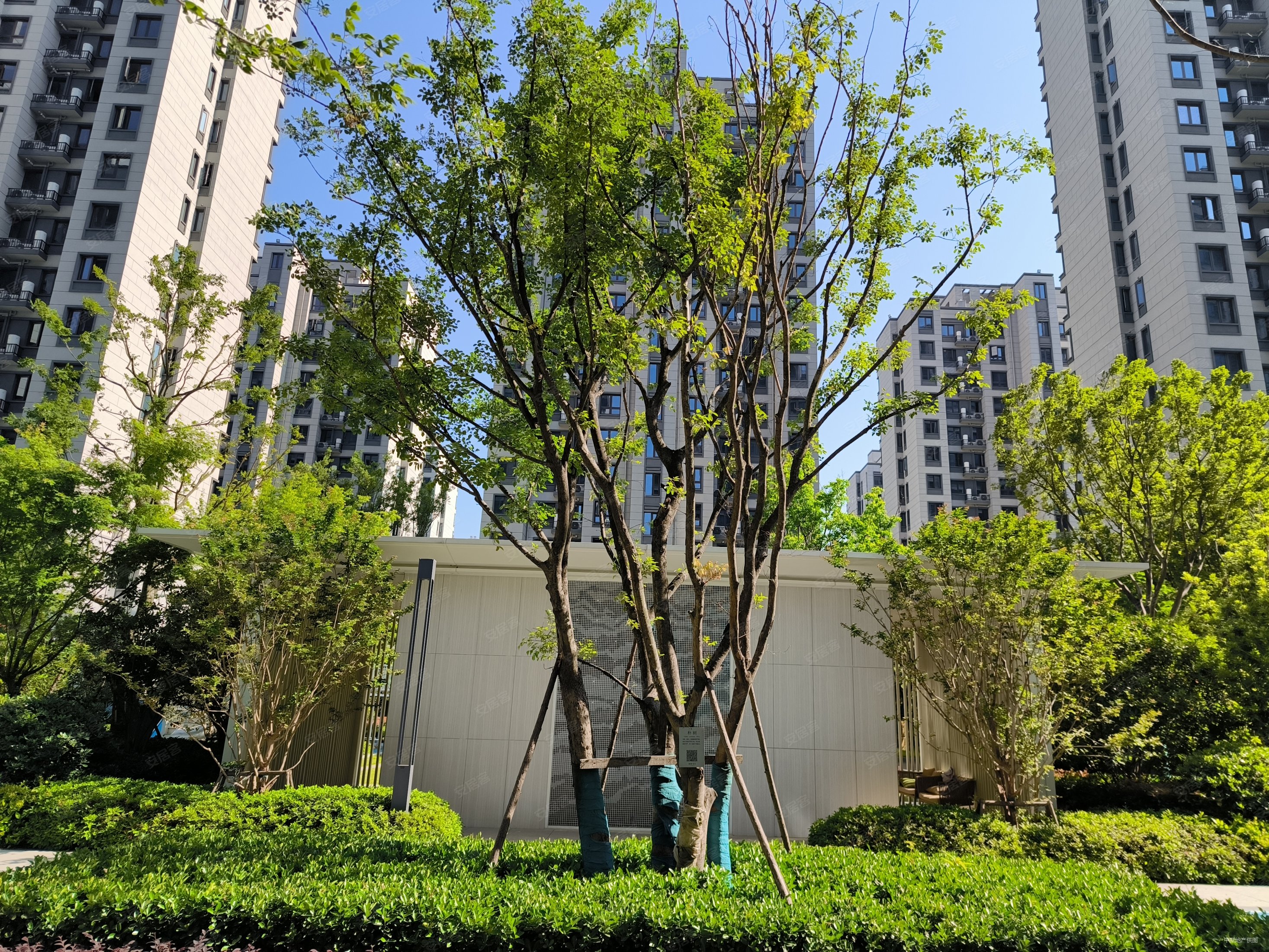 合肥房产网>合肥二手房>滨湖新区二手房>新省府二手房>锦绣首玺>2933