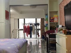 武汉武昌徐东徐东 销品茂对面 徐家棚R出口 精装复式一室两卫 带衣帽间出租房源真实图片