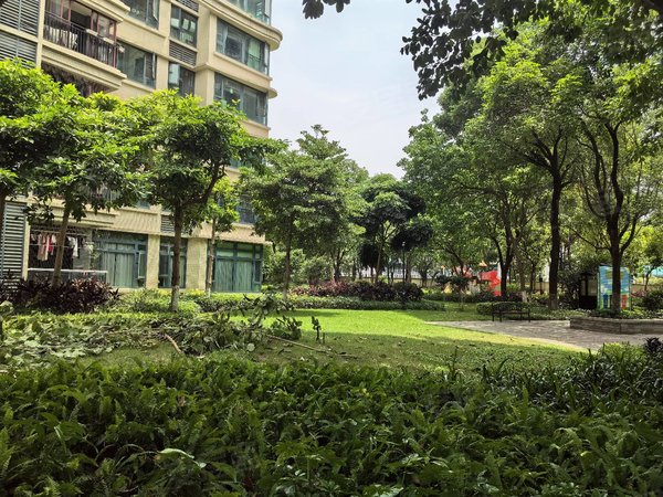 【多图】雅居乐锦城花漾集,新区租房,哇!