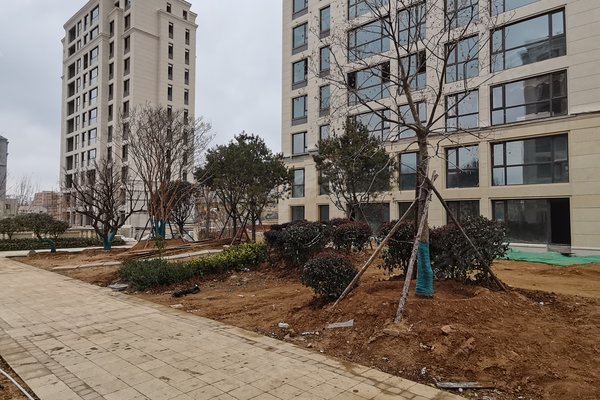 威海小区 荣成小区 荣成市区小区 景城玉兰花园