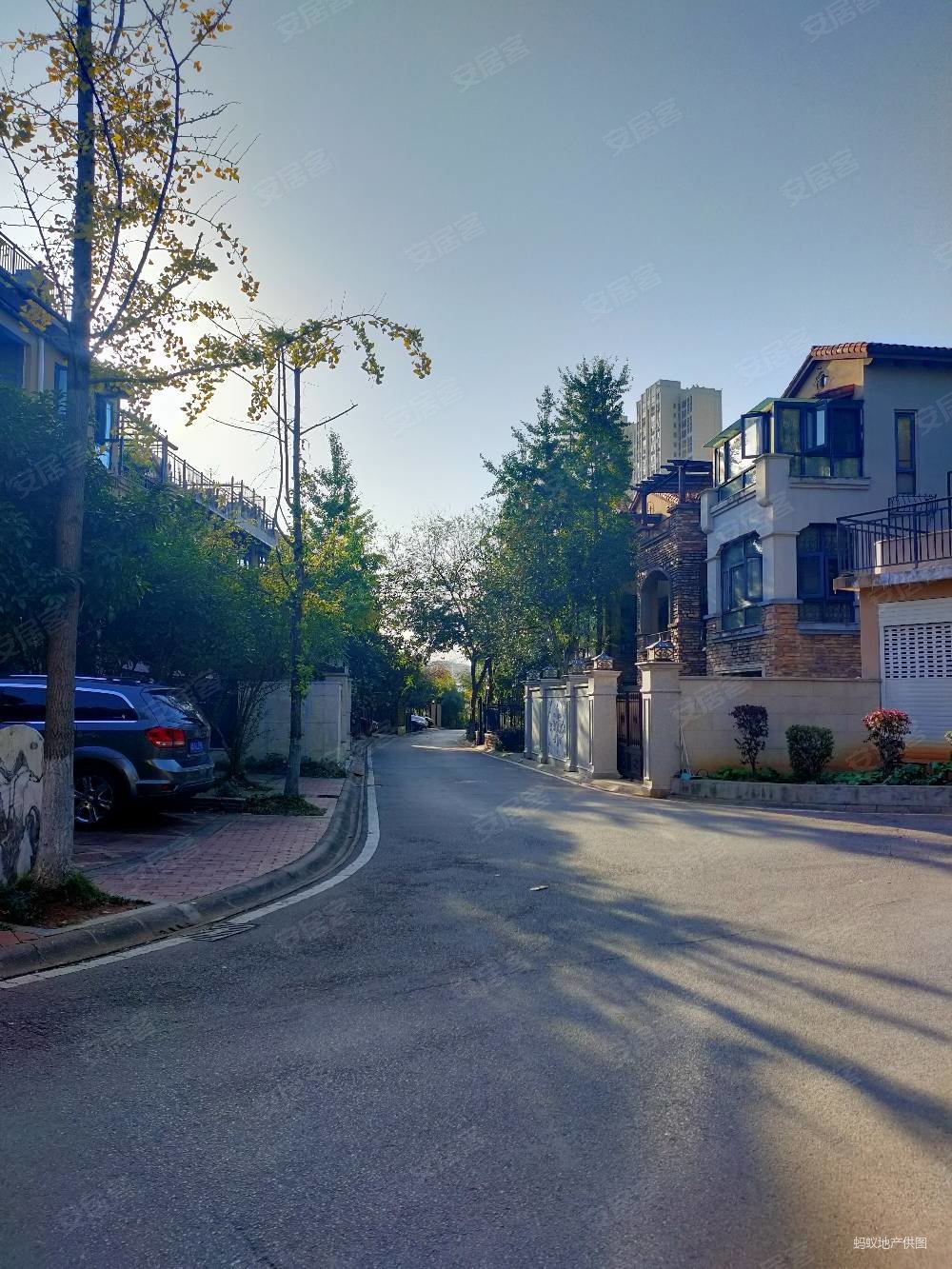 堤亚纳湾(别墅)4室2厅3卫251.7㎡南北520万