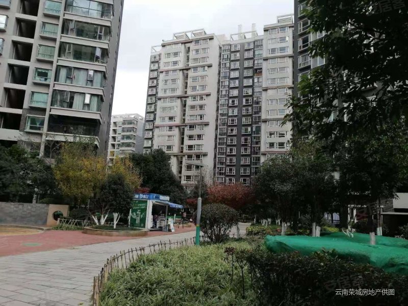 金江小区融苑 环境优美 出行方便 正规商品房 南北通透