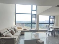 简阳老城区简城老城四桥附近天慧凯颂广场精装套二拎包入住,出租房源真实图片