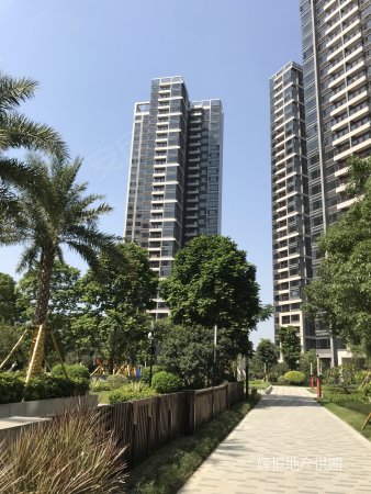 美的壹号公馆 4房精装带 智能家居,南北通透,送2个车位