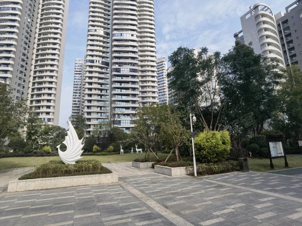 郓城天府公园城天府公园城  湿地公园 天府大道视高段  管委会天投