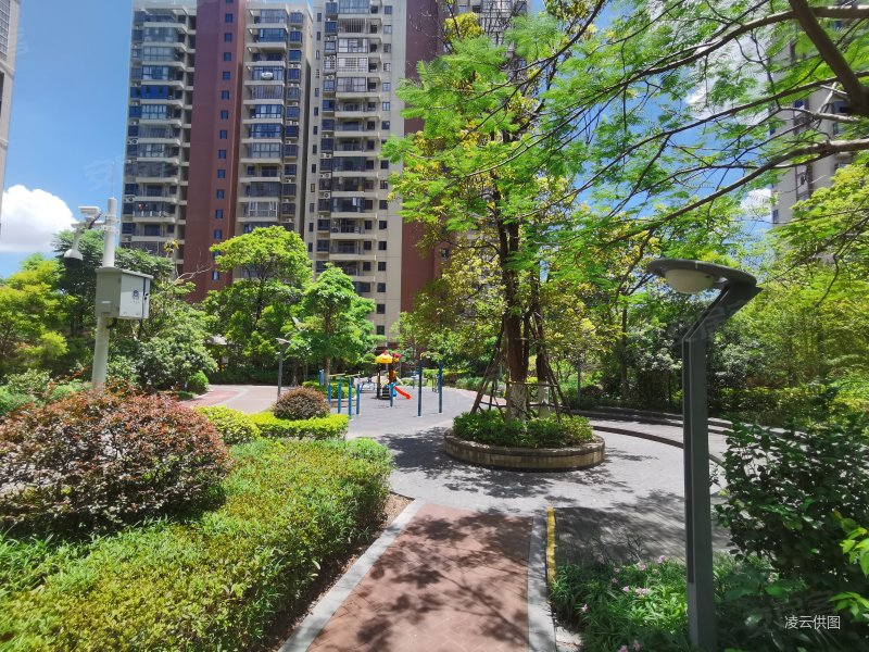 新城际广场 南北通透 交通便捷 带电梯 小区新 满五