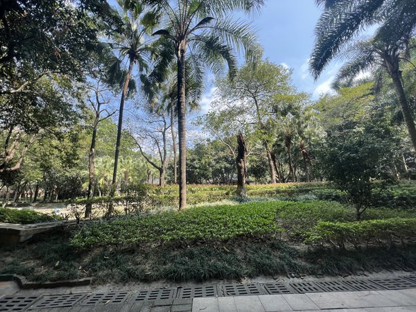 广州白云南湖南湖半岛花园雅居乐南湖半岛花园 七房 仅需不到8q的价格