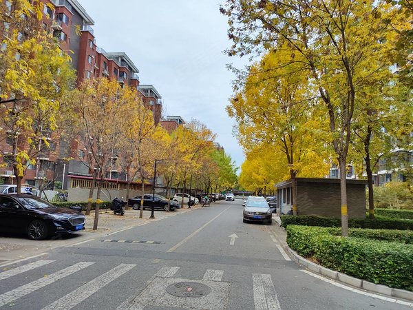 【多图】柳浪家园南里,马连洼租房,柳浪家园 精装一居室 近上地嘉华