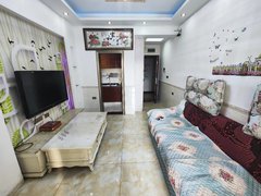 重庆合川钓鱼城街道江润地中海精装一室一厅出租房源真实图片
