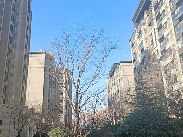 仲村精装一室带电梯!,城阳租房-青岛58安居客