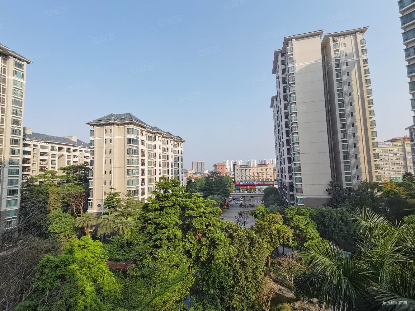 西平光大小区 稀有 飞机户型四房,朝南看花园 159平方,景湖名郡二手房