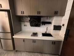 信阳固始城区蓼城壹号广场 1室1厅1卫 50平 电梯房 精装修出租房源真实图片