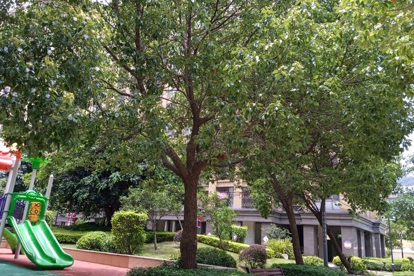 福州小区 长乐小区 吴航小区 滨江望郡 滨江望郡怎么样发布于2021年07