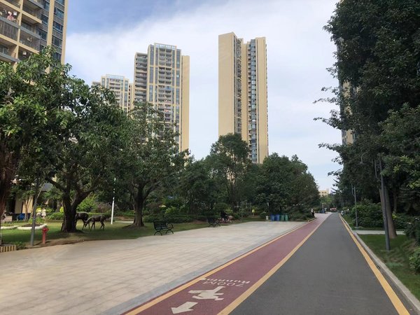 【多图】碧桂园珑悦花园,水口租房,碧桂园珑悦花园 新房出租精装大三