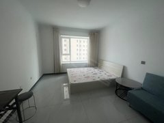 乌鲁木齐开发区开发区二期陶菊园精装单身公寓出租出租房源真实图片