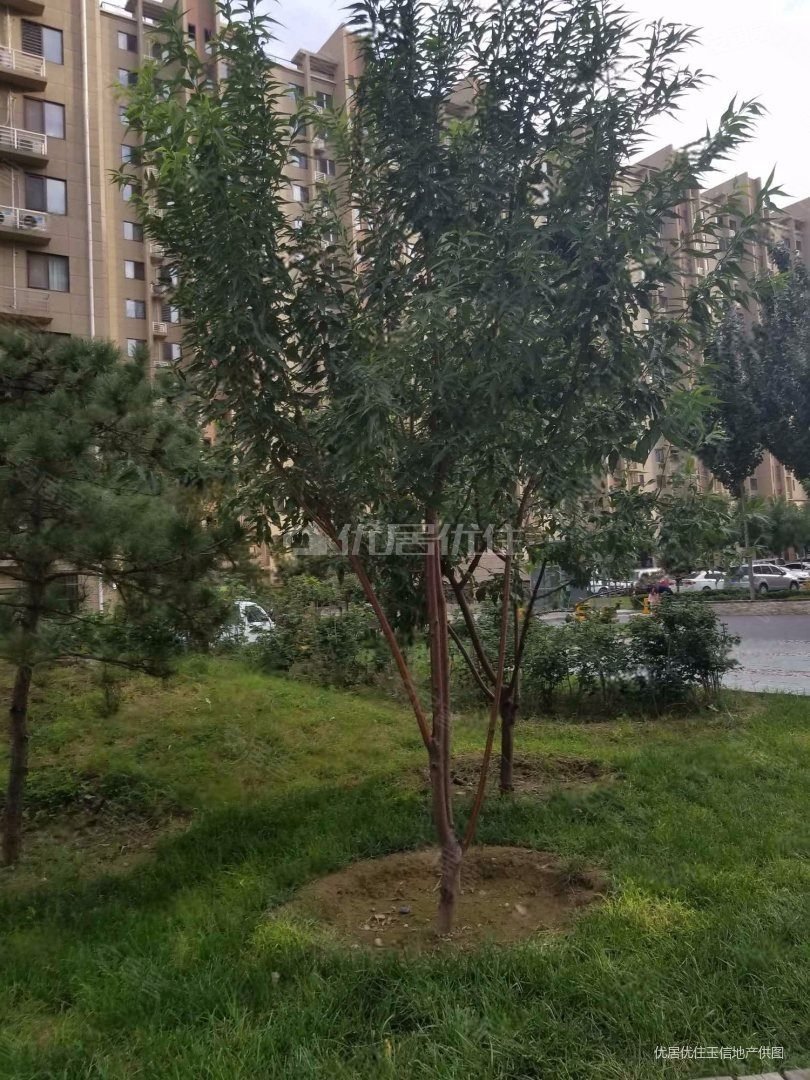 庑殿家苑a区南北两居室采光好