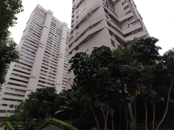 【多图】阳光国际广场,万安街道租房,房源采光好,南北通透,业主诚意出