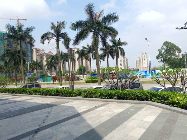 珠海高栏港区平沙时代港时代港 3室2厅1卫 精装修 电梯房 96平  板楼