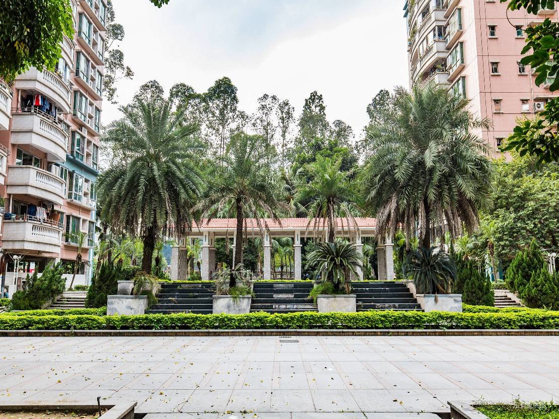 东怡新区东雅园3室2厅2卫94㎡南195万