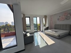 合肥高新柏堰湖英唐产业园 科大讯飞 湖山源著别墅双露台 北雁湖地铁口出租房源真实图片