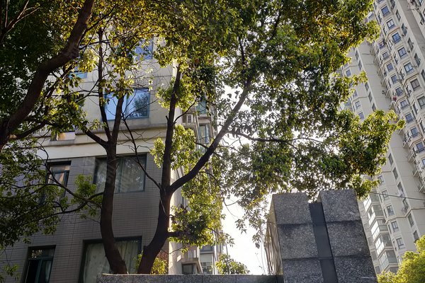 仁和恬园,和田路46弄-上海仁和恬园二手房,租房-上海安居客