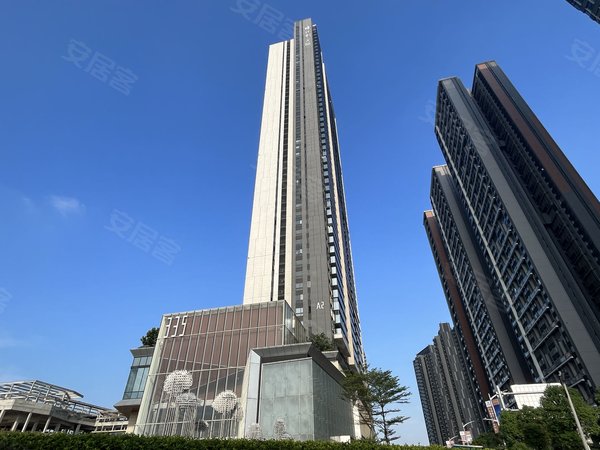 广州增城新塘保利335金融中心新塘tod 保利335  全新三房两卫 精装修