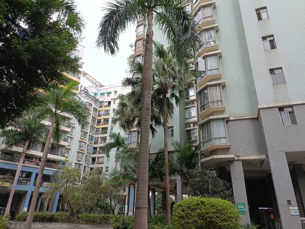 南宁青秀长湖路南湖碧园青秀万达商圈近东站 滨湖路地铁 精装三房