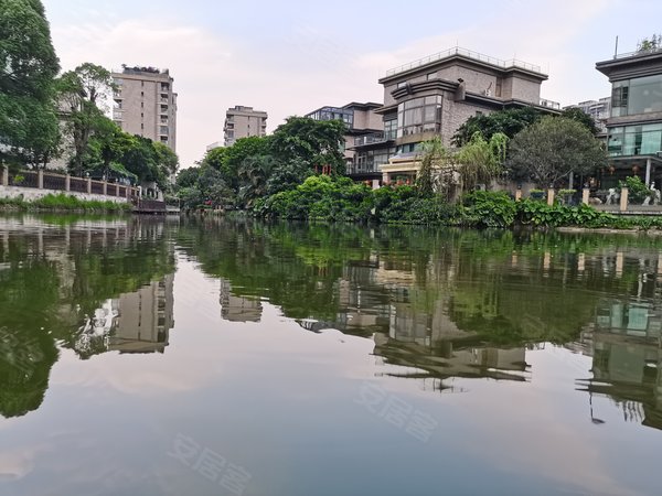 【多图】珊瑚天峰,星河湾租房,万科物业自营 天峰精装四房佶屋出租
