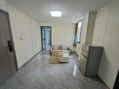 深圳龙岗龙岗中心城龙城广场地铁站龙城金地中央 精装一房一厅拎包入住出租房源真实图片
