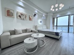 株洲天元庐山路真房真价 实地拍摄 尚格广场C位旁 随时看房出租房源真实图片