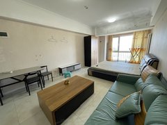 银川西夏宁大19立方公寓 1室1厅1卫  电梯房 精装修54平米出租房源真实图片