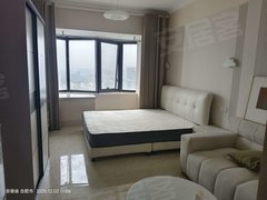 合肥新站瑶海公园武里山天街 温馨一居室 家具齐全 楼下就是商业街 生活便利出租房源真实图片