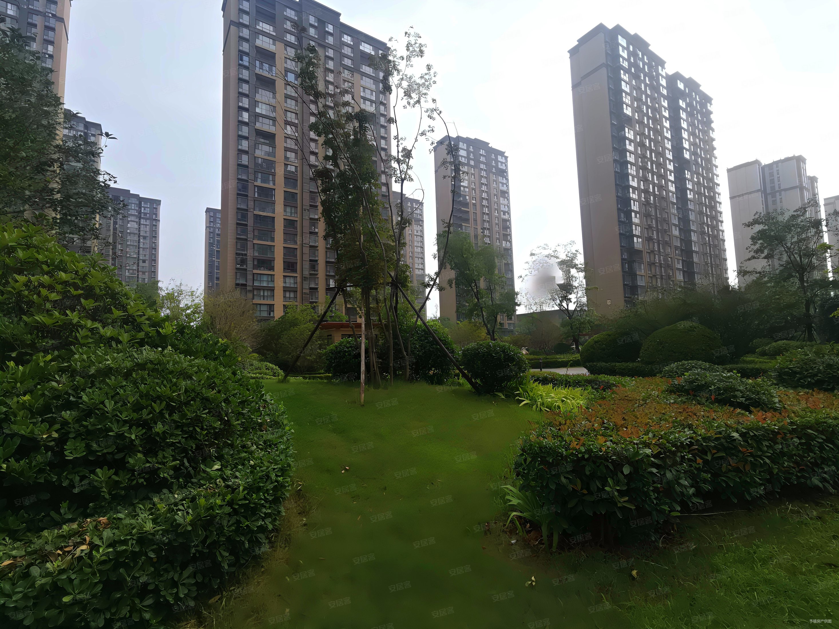 楼层好 诚心出售,广电天韵二手房,185万,2室2厅,1卫,86平米-郑州安居