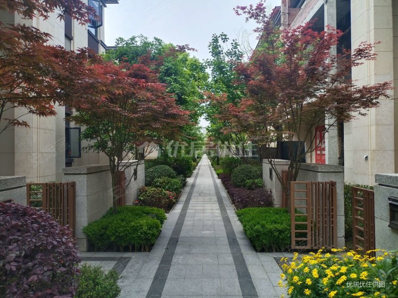 179平毛坯298万元朝向东南复地花屿城