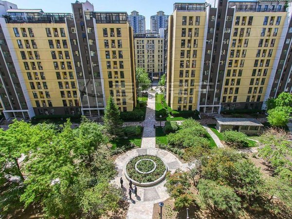 北京朝阳望京慧谷阳光南北通透 2室2厅  慧谷阳光出租房源真实图片