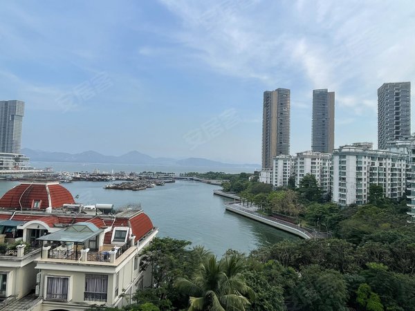 深圳南山蛇口南海玫瑰花园(二期)新出!南海玫瑰花园!两房!一线海景!