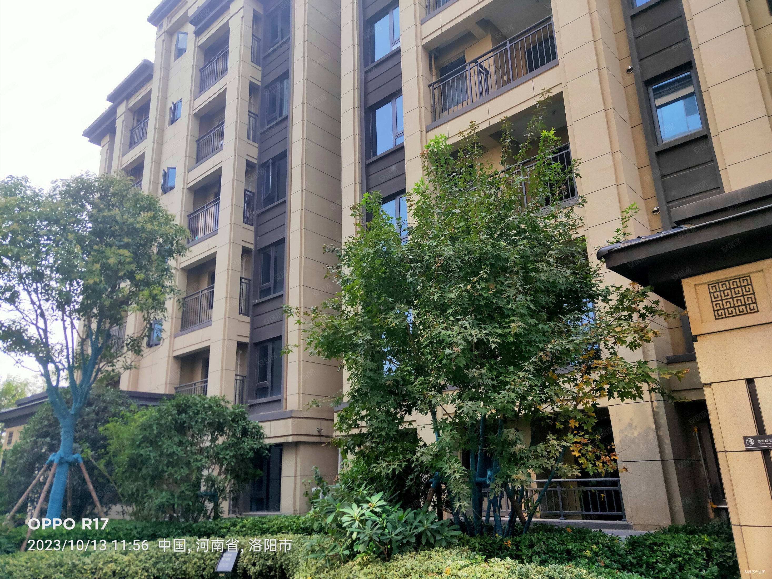 电梯房 双卫格局,保利林语溪二手房,170万,3室2厅,2卫,148平米-洛阳