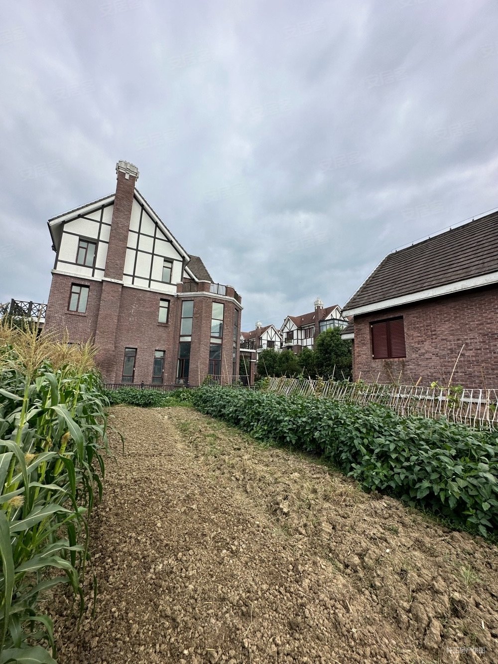 英郡大独栋价格私聊平台不能做低产证1170平花园3亩