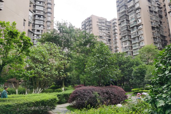 海润滨江,滨江中路一段-南充海润滨江二手房,租房-南充安居客