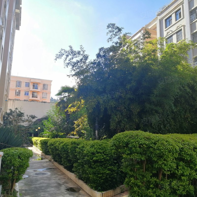 【灵秀小区, 灵秀小区小区详情,房价走势,房源,业主论坛】- 楚雄58