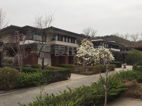 西山美庐,四季青租房,豪装 独栋别墅 5室3厅 单层200 600平使用,海淀