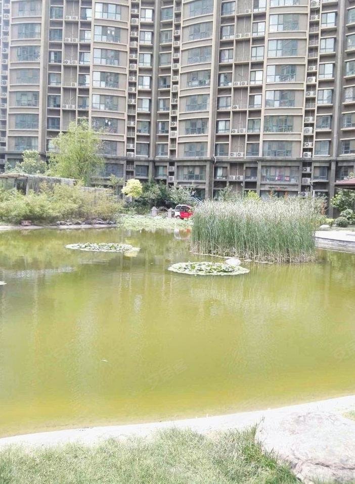 牧野湖旁力拓花府低于市场价20万随时看房南北直通老证