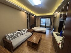 大亚湾大亚湾澳头海景城 精装一房一厅 850拎包入住 随时可看出租房源真实图片